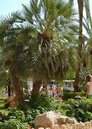 Hotel Protur Palmeras Playa Sa Coma (Mallorca)